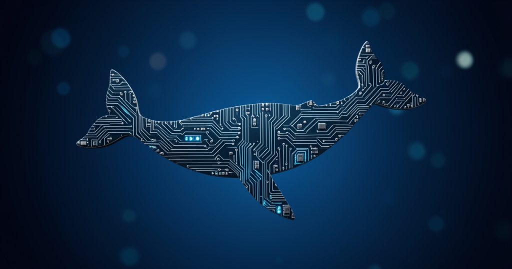 Hyperliquid : les baleines BTC basculent net short