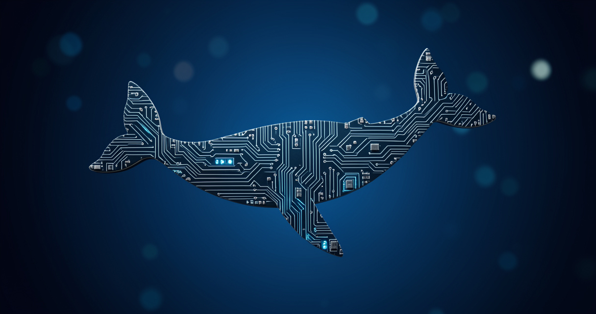 Hyperliquid : les baleines BTC basculent net short